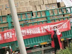 靓雅洁代理风采展示
