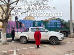 靓雅洁浪漫女神代理10
